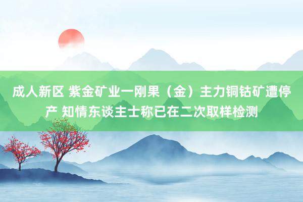 成人新区 紫金矿业一刚果（金）主力铜钴矿遭停产 知情东谈主士称已在二次取样检测