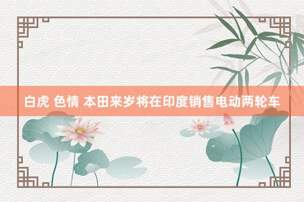 白虎 色情 本田来岁将在印度销售电动两轮车