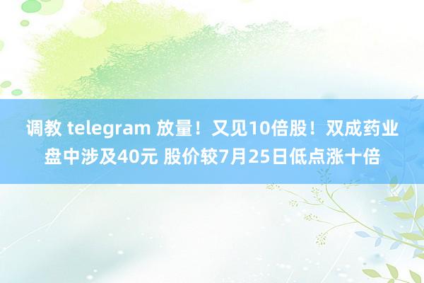 调教 telegram 放量！又见10倍股！双成药业盘中涉及40元 股价较7月25日低点涨十倍