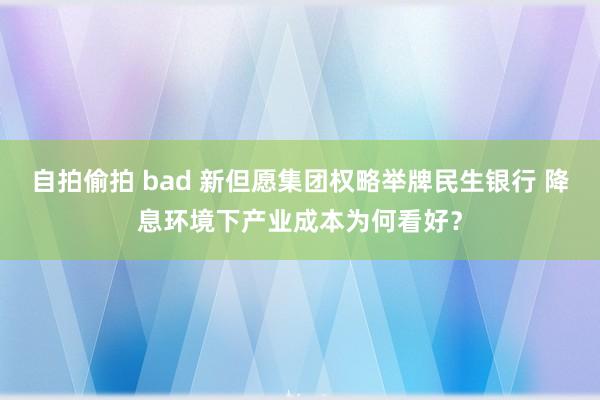 自拍偷拍 bad 新但愿集团权略举牌民生银行 降息环境下产业成本为何看好？