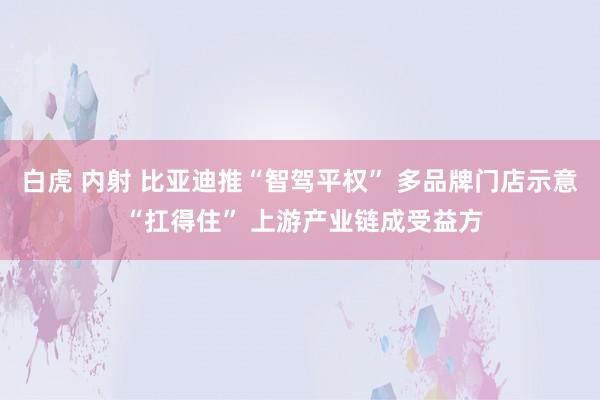 白虎 内射 比亚迪推“智驾平权” 多品牌门店示意 “扛得住” 上游产业链成受益方