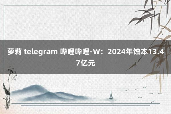 萝莉 telegram 哔哩哔哩-W：2024年蚀本13.47亿元